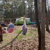 Review photo of Petit Jean State Park — Petit Jean State Park by Nicci B., March 20, 2021