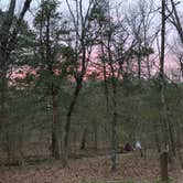 Review photo of Petit Jean State Park — Petit Jean State Park by Nicci B., March 20, 2021