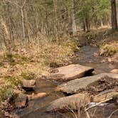 Review photo of Petit Jean State Park — Petit Jean State Park by Nicci B., March 20, 2021