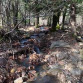 Review photo of Dead Man Gap Dispersed Campsite by Charles , March 20, 2021