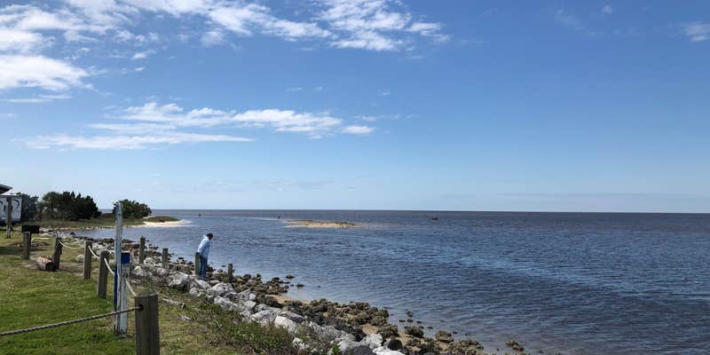 Camper submitted image from Horseshoe Beach Park