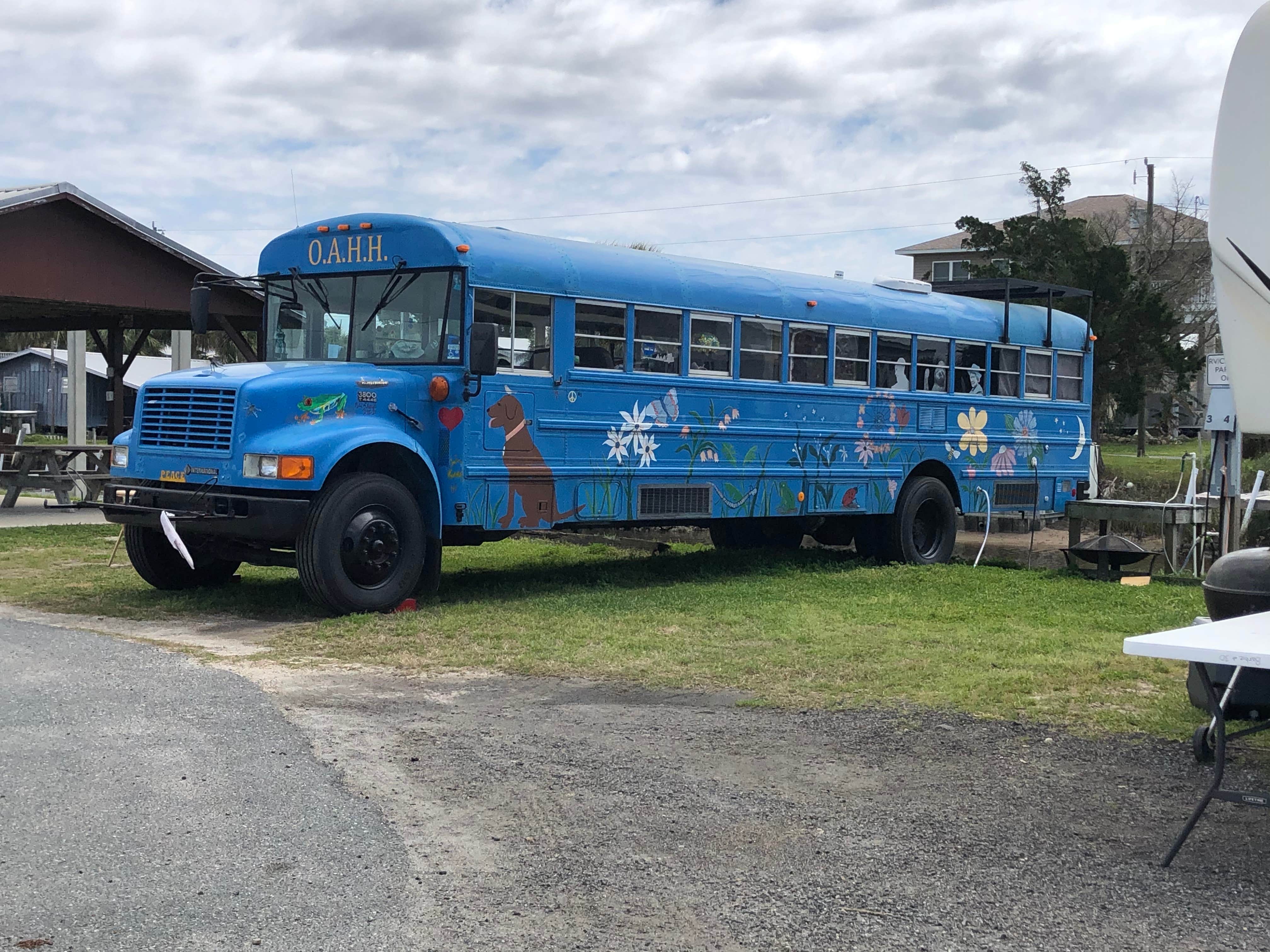 Camper-submitted photo at Horseshoe Beach Park near Steinhatchee, FL