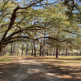 Chehaw Park Campground