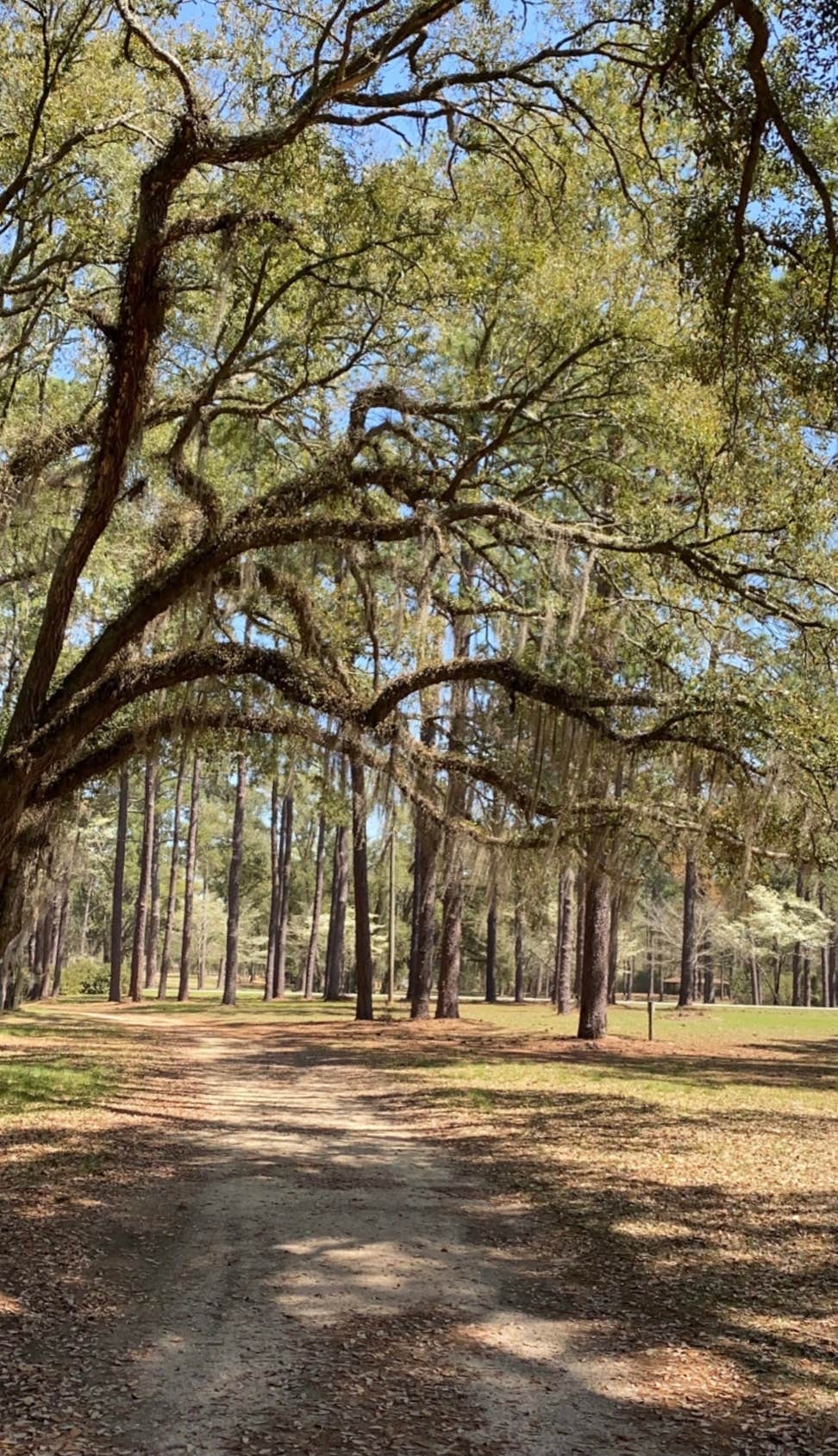 Camper submitted image from Chehaw Park Campground - 1