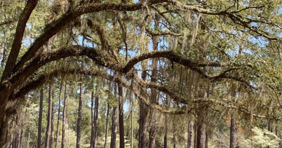 Chehaw Park Campground