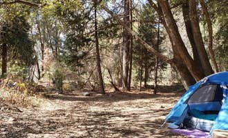 Camping near Tule - Success Lake: Wishon Campground, Camp Nelson, California