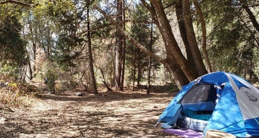 Wishon Campground