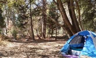 Camping near Sequoia National Forest Coy Flat Campground: Wishon Campground, Camp Nelson, California