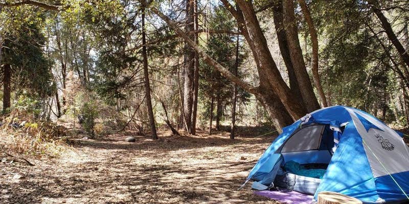 Camper submitted image from Wishon Campground