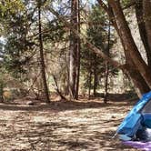 Review photo of Wishon Campground by Rosie H., March 21, 2021