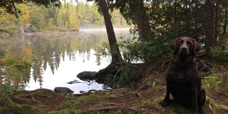 Camper submitted image from Grand Portage State Forest Devilfish Lake Campsite