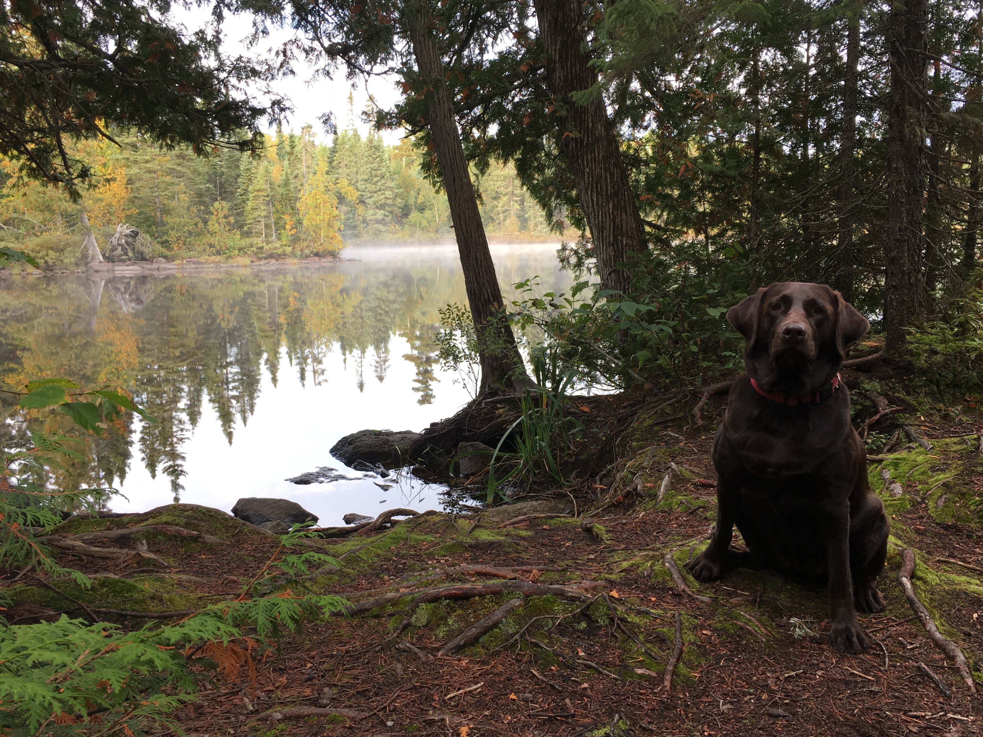 Camper-submitted photo at Grand Portage State Forest Devilfish Lake Campsite near Grand Portage, MN