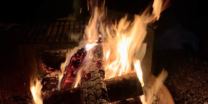 Camper submitted image from Douglas Tailwater Campground — Tennessee Valley Authority (TVA)