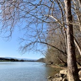 Review photo of Douglas Tailwater Campground — Tennessee Valley Authority (TVA) by Arwen , March 21, 2021