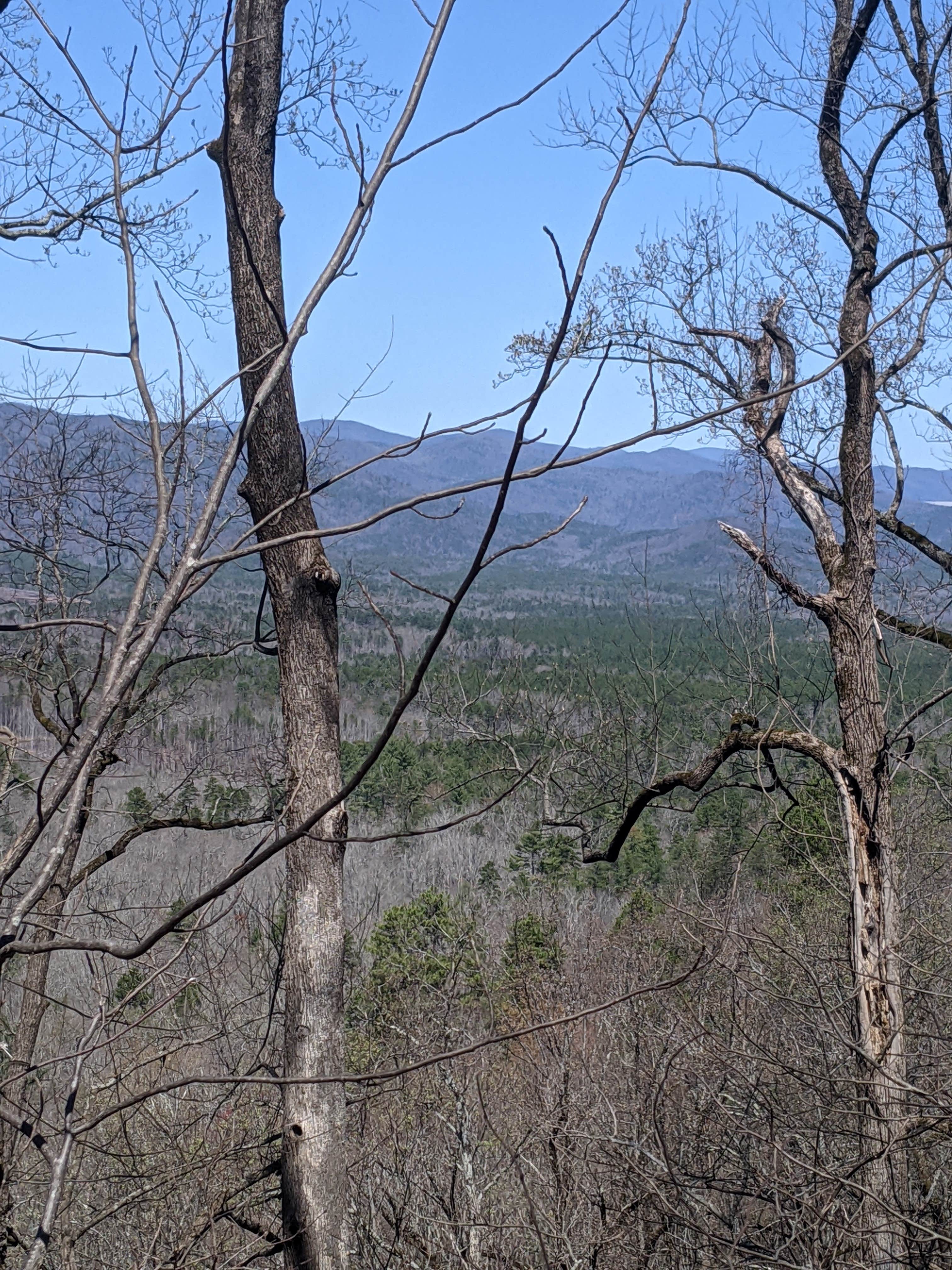 Camper submitted image from Oconee State Park Campground - 1