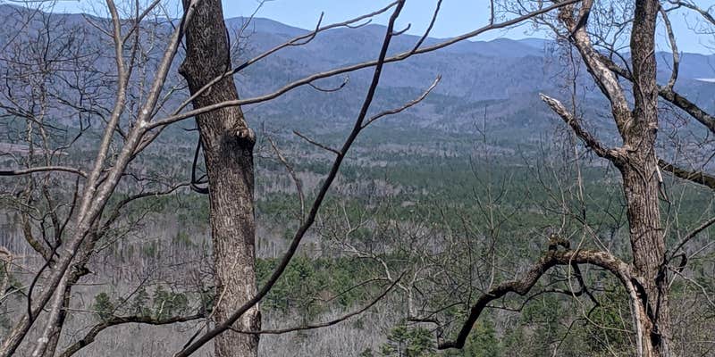 Camper submitted image from Oconee State Park Campground