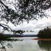 Review photo of Pickensville Campground by Cyndi H., March 18, 2021