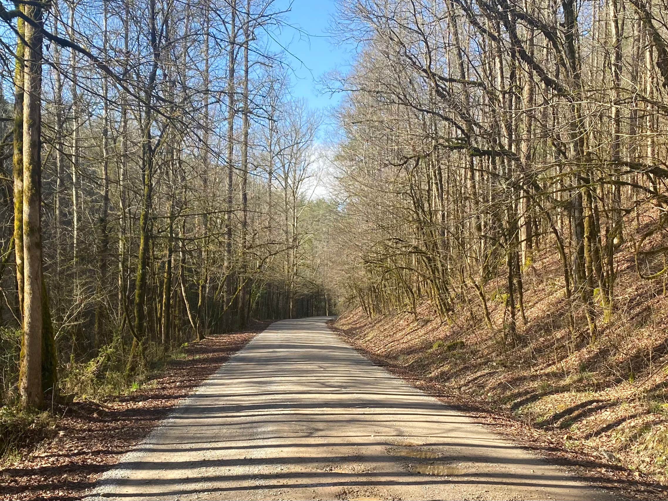Camper-submitted photo at Citico Creek Area near Tallassee, TN