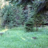 Review photo of Bear Hollow County Park by Corinna B., October 1, 2017