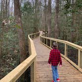 Review photo of Longleaf Campground — Congaree National Park by Neil T., March 21, 2021