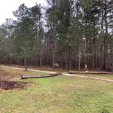 Review photo of Longleaf Campground — Congaree National Park by Neil T., March 21, 2021