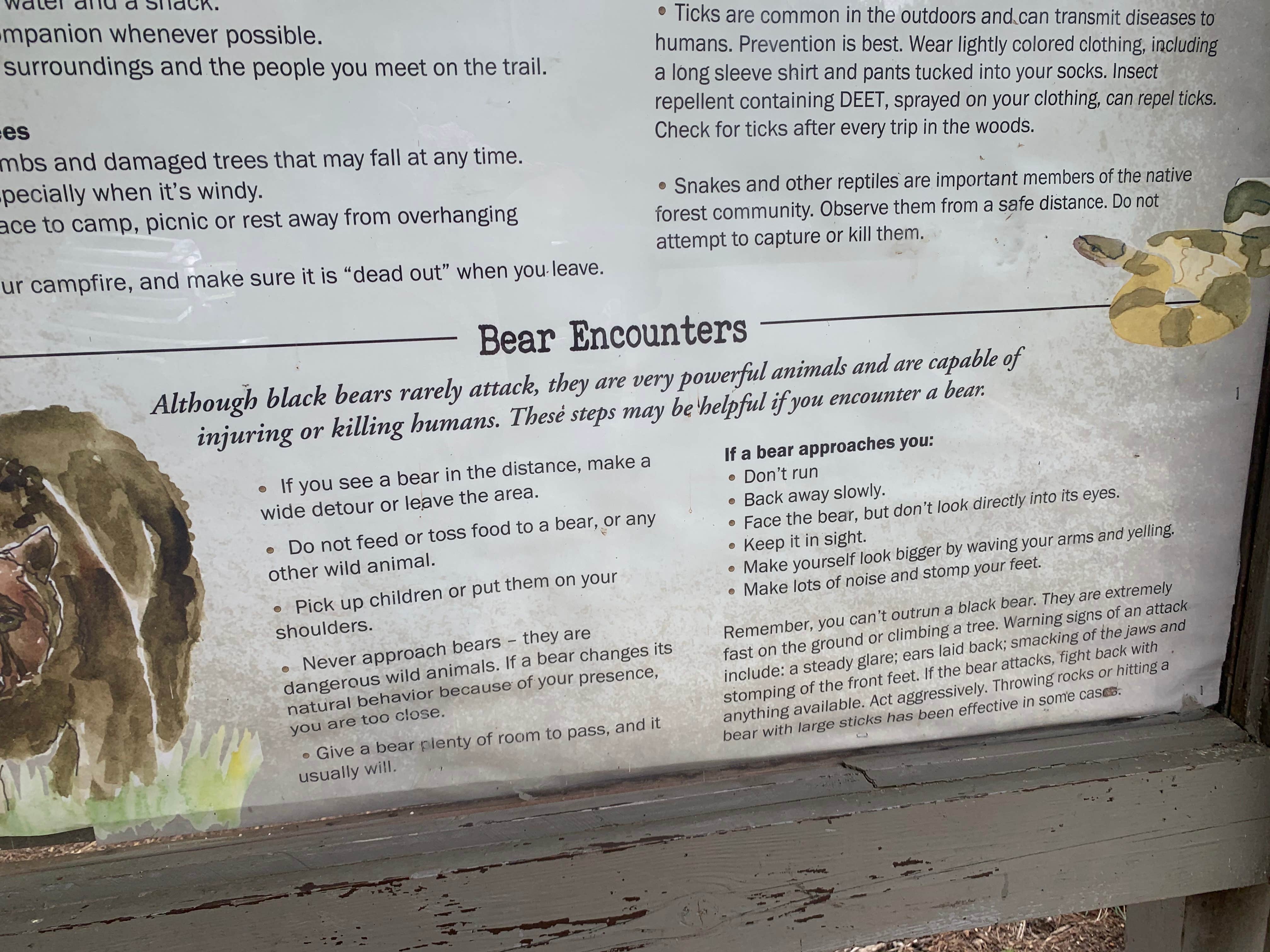 Camper-submitted photo at Lake Powhatan — National Forests In North Carolina near Swannanoa, NC