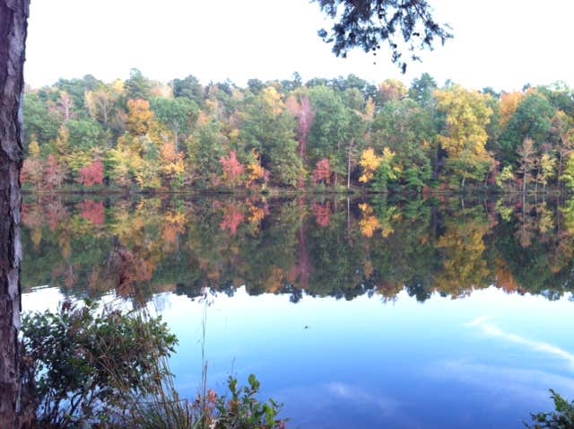 Camper submitted image from Holly Point — Falls Lake State Recreation Area - 5