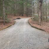 Review photo of Lake Powhatan — National Forests In North Carolina by Neil T., March 21, 2021