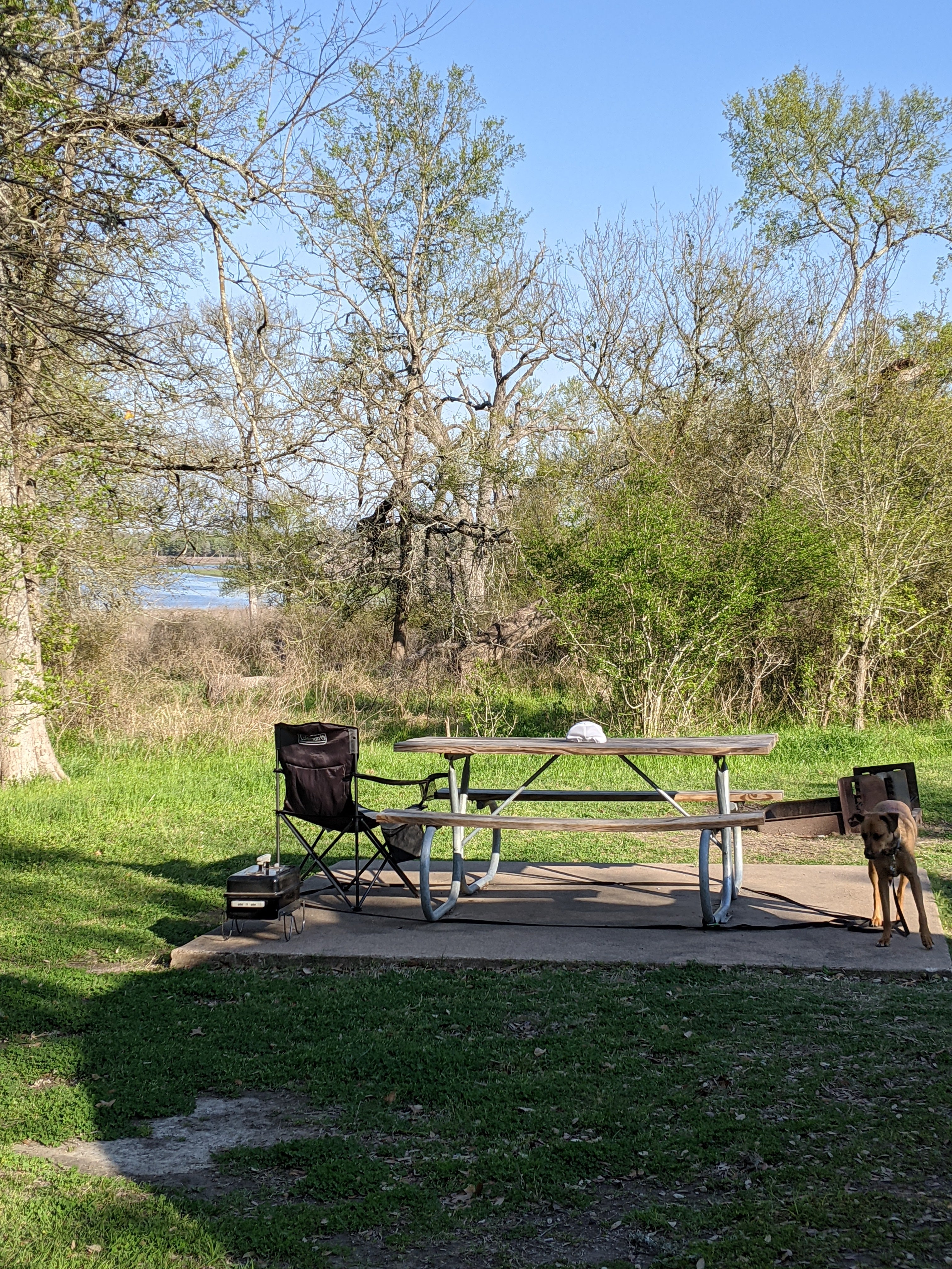 Camper submitted image from Nails Creek Unit — Lake Somerville State Park - 1