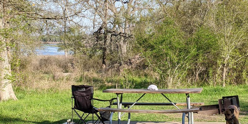 Camper submitted image from Lake Somerville State Park Nails Creek Unit Campground