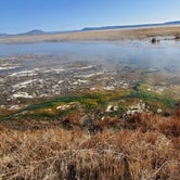 Review photo of Alvord Hot Springs by Marc H., March 22, 2021