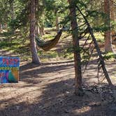 Review photo of Guanella Pass Scenic Byway Dispersed Camping - PERMANENTLY CLOSED by Ian W., March 22, 2021