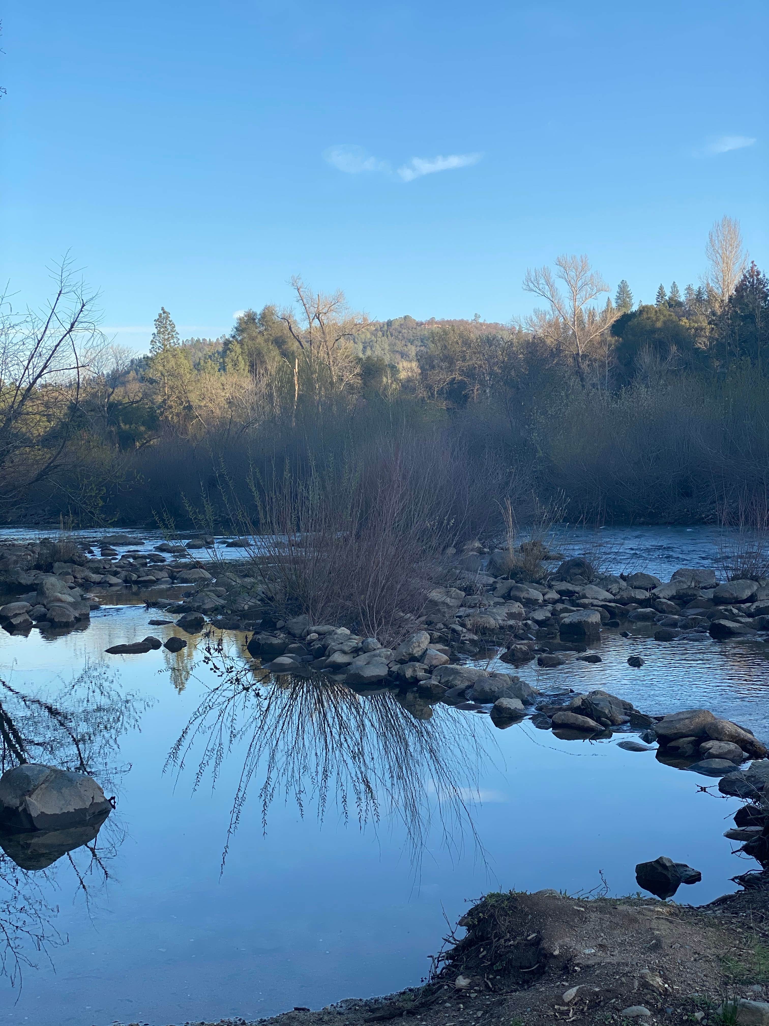 Camper-submitted photo at Coloma Resort near Auburn, CA
