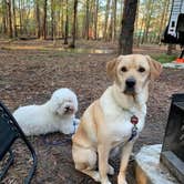 Review photo of Lake Livingston State Park Campground by Lizabeth , March 22, 2021