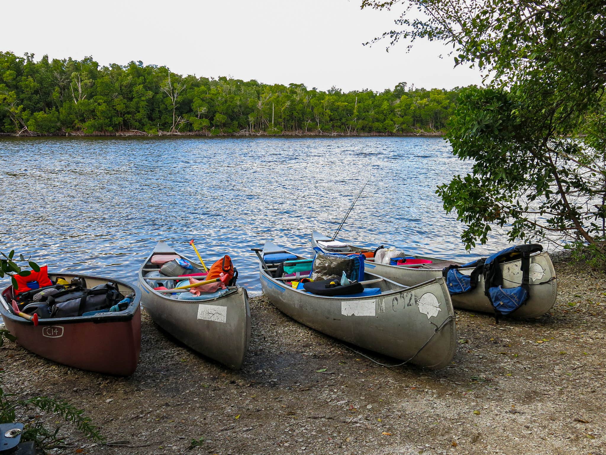 Camper submitted image from Lopez River - 1