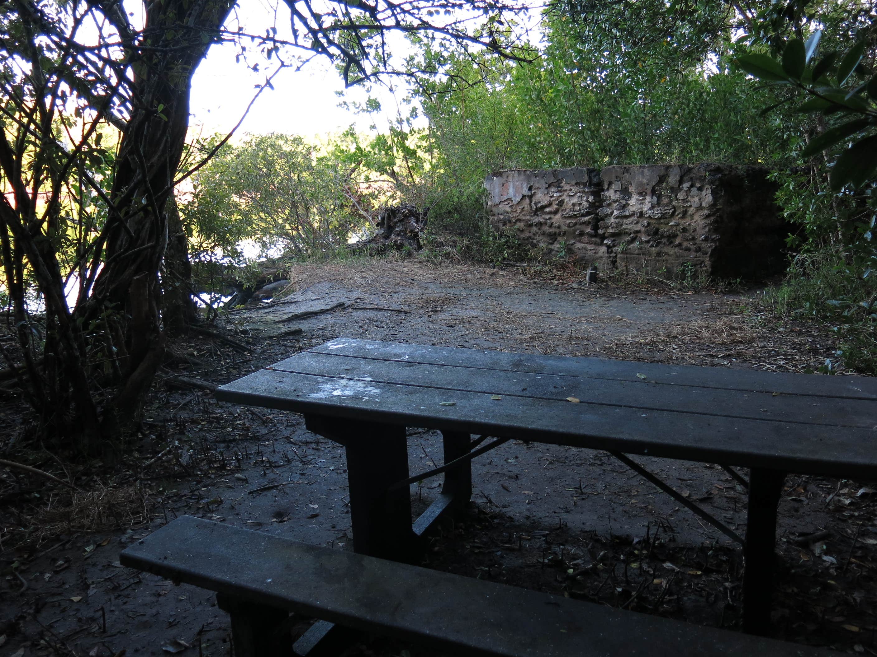 View All