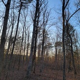 Review photo of Foster Falls Campground — South Cumberland State Park by Bill G., March 22, 2021