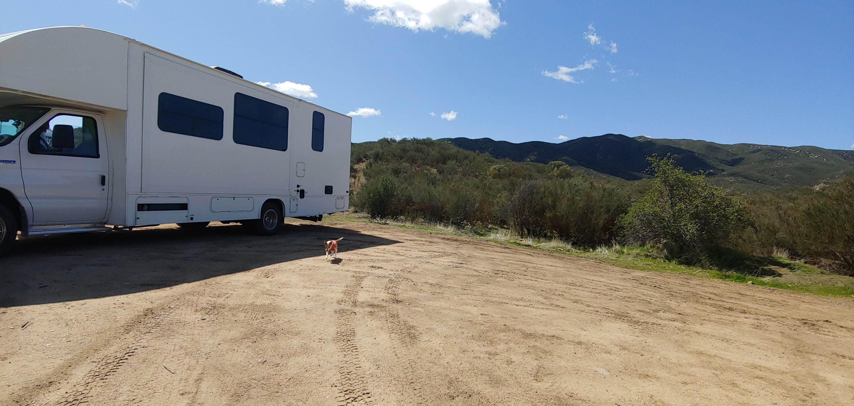 Camper-submitted photo at Los Padres National Forest dispersed camping near Carrizo Plain National Monument