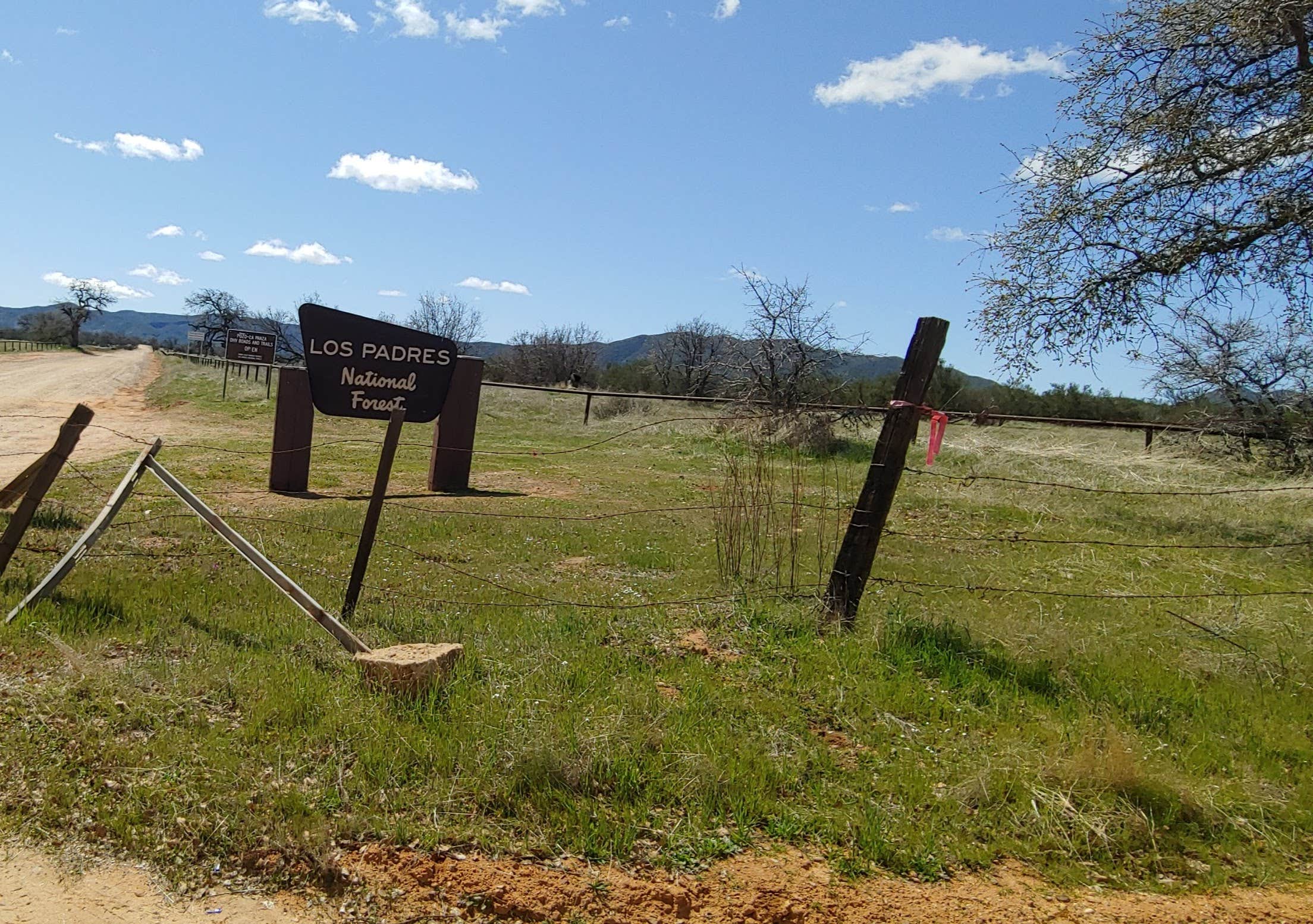 Camper-submitted photo at Los Padres National Forest dispersed camping near Carrizo Plain National Monument