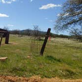 Review photo of Los Padres National Forest dispersed camping by Laura M., March 22, 2021