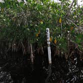 Review photo of Backcountry Hells Bay Chickee — Everglades National Park by Liz M., March 22, 2021