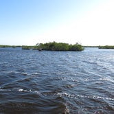 Review photo of Backcountry Hells Bay Chickee — Everglades National Park by Liz M., March 22, 2021