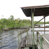 Review photo of Backcountry Pearl Bay Chickee — Everglades National Park by Liz M., March 22, 2021