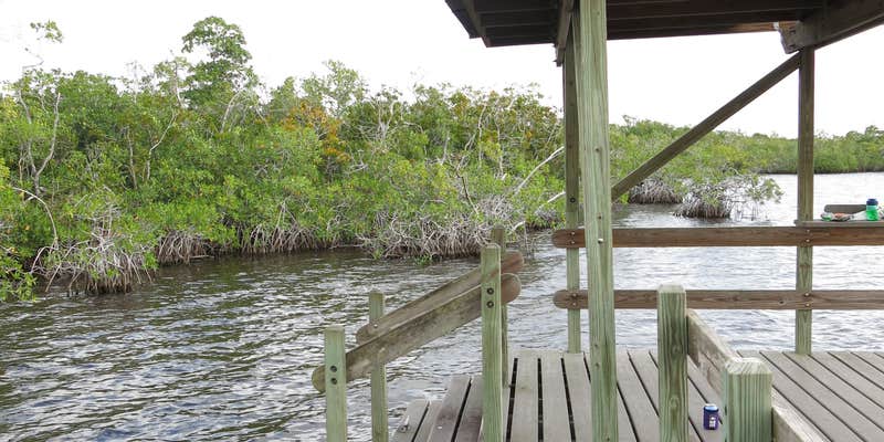 Camper submitted image from Backcountry Pearl Bay Chickee — Everglades National Park
