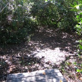 Review photo of Lard Can Wilderness Campground — Everglades National Park by Liz M., March 22, 2021