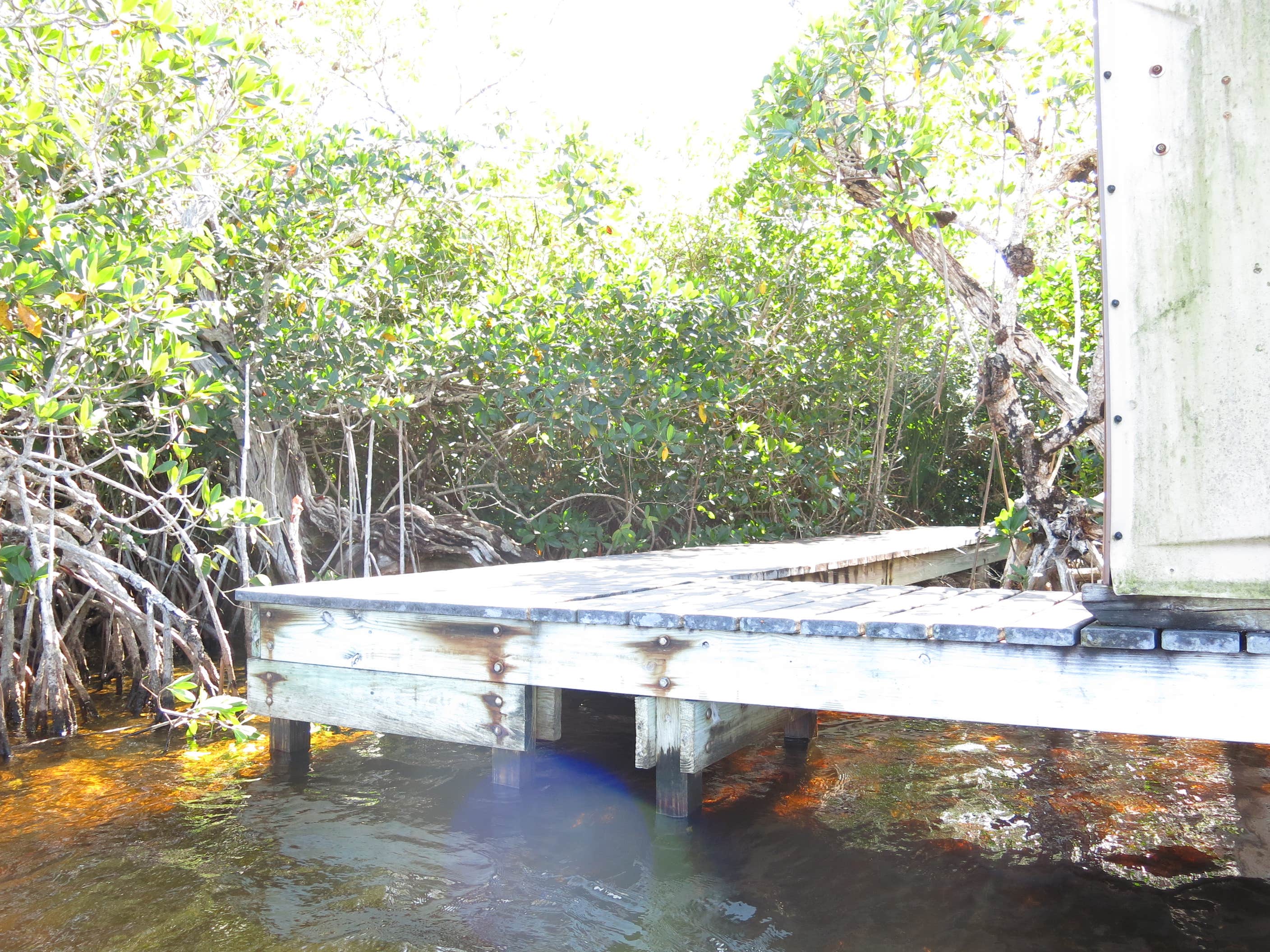 Camper submitted image from Lard Can Wilderness Campground — Everglades National Park - 3