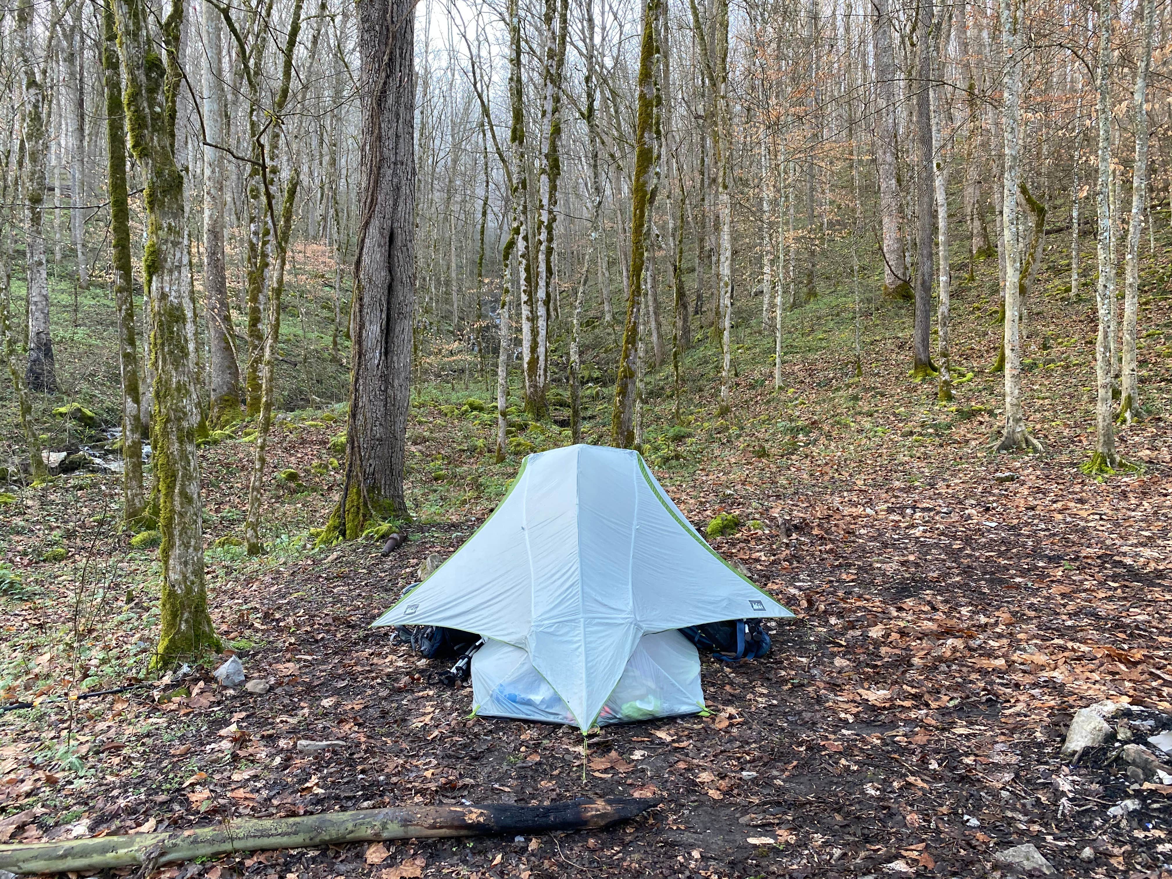 Asher K.'s photo of tent camping at Walls of Jericho - Hurricane Creek Backcountry Campsite near Normal, AL
