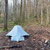 Review photo of Walls of Jericho - Hurricane Creek Backcountry Campsite by Asher K., March 22, 2021