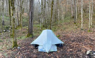 Asher K.'s photo at Walls of Jericho - Hurricane Creek Backcountry Campsite near Belvidere, TN