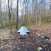 Review photo of Walls of Jericho - Hurricane Creek Backcountry Campsite by Asher K., March 22, 2021
